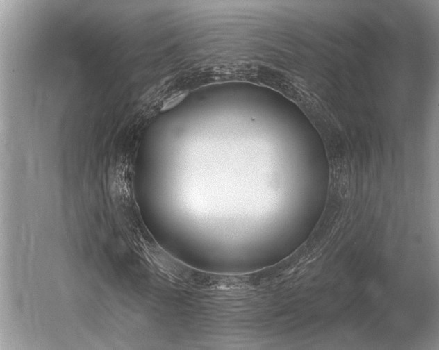 X0000052980770200507151827