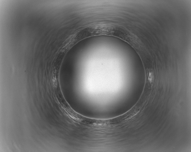 X0000052980771200507151827