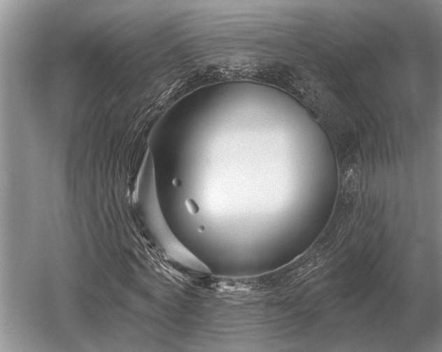 X0000052980772200507151827