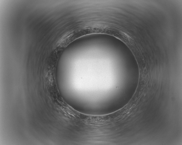 X0000052980774200507151827