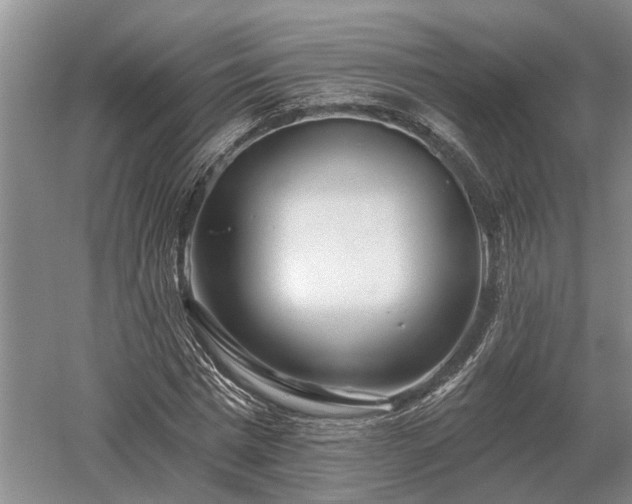 X0000052980777200507151827