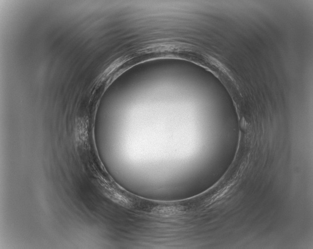 X0000052980778200507151827