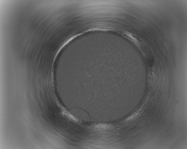 X0000052980779200507151827