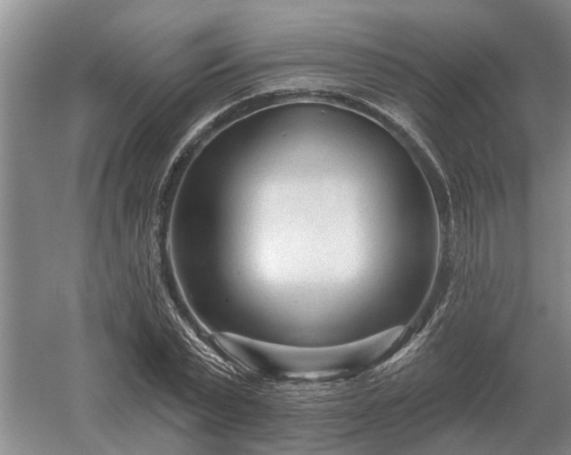 X0000052980783200507151827