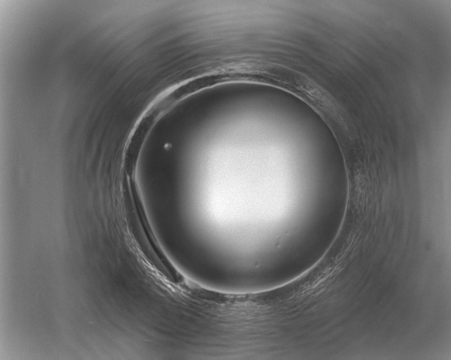 X0000052980784200507151827