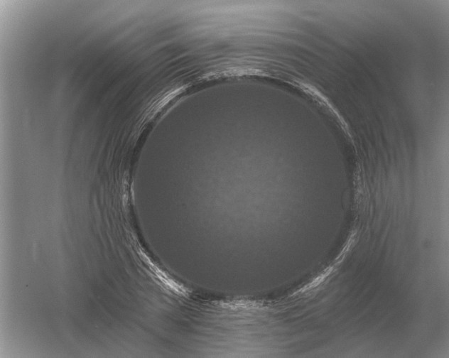 X0000052980785200507151827