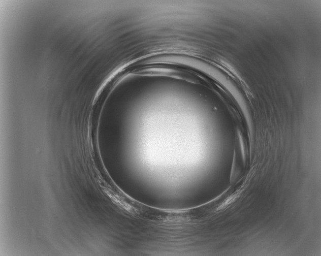 X0000052980788200507151827