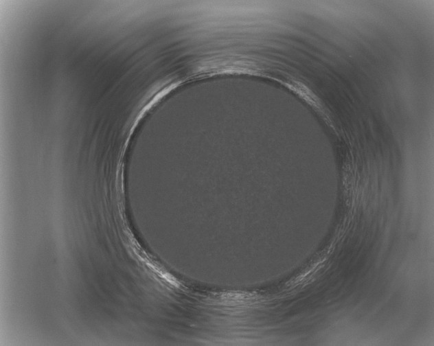 X0000052980790200507151827