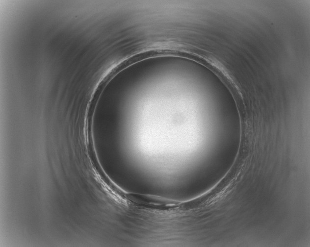 X0000052980791200507151827