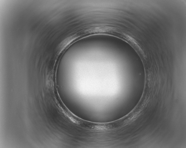 X0000052980794200507151827