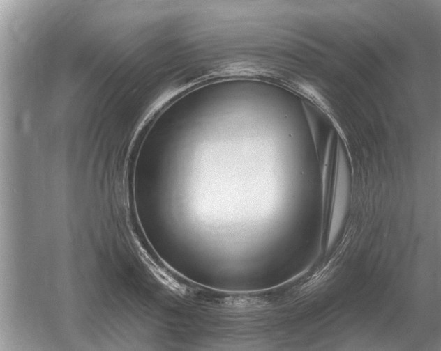 X0000052980795200507151827