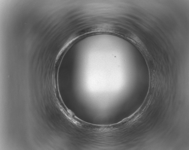 X0000052980796200507151827