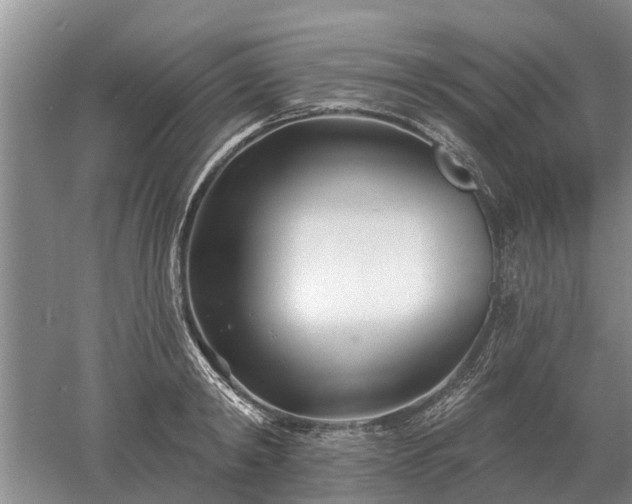 X0000052980798200507151827