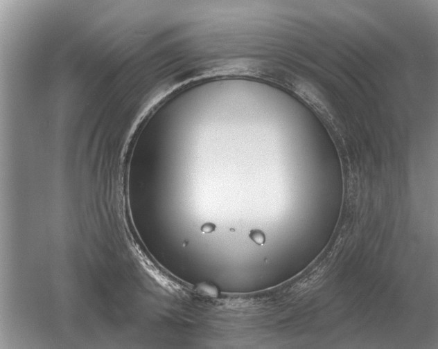 X0000052980800200507151827