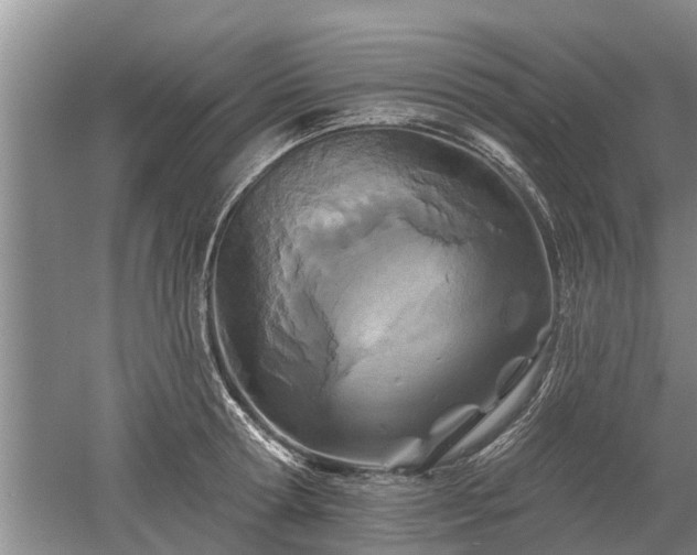 X0000052980802200507151827