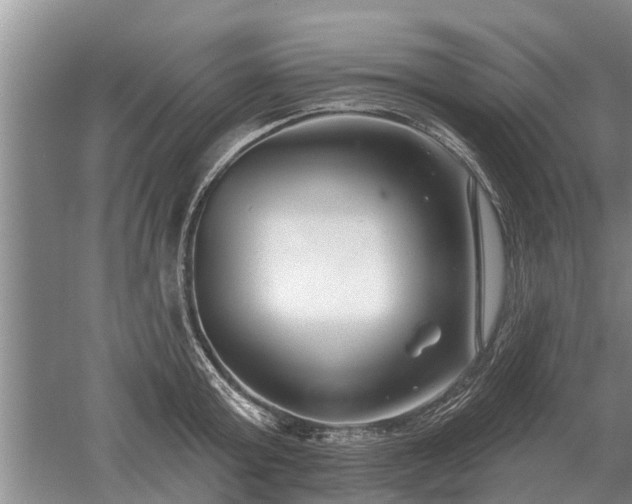 X0000052980803200507151827