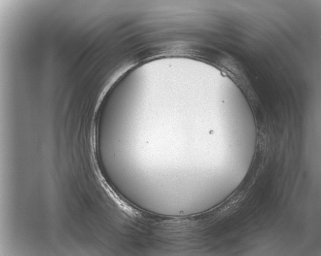 X0000052980804200507151827