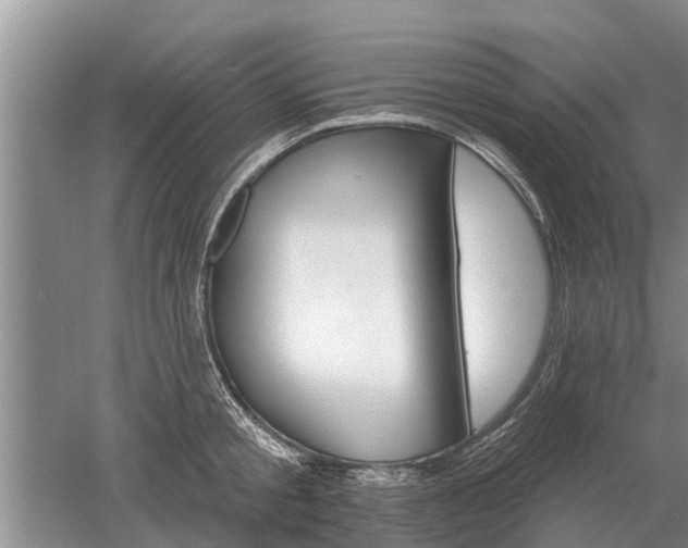 X0000052980805200507151826