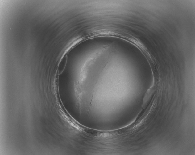 X0000052980806200507151826