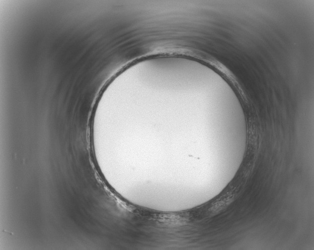 X0000052980807200507151826