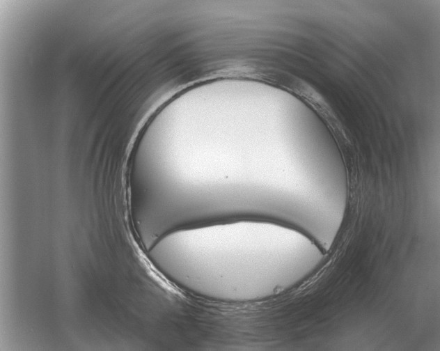 X0000052980808200507151826