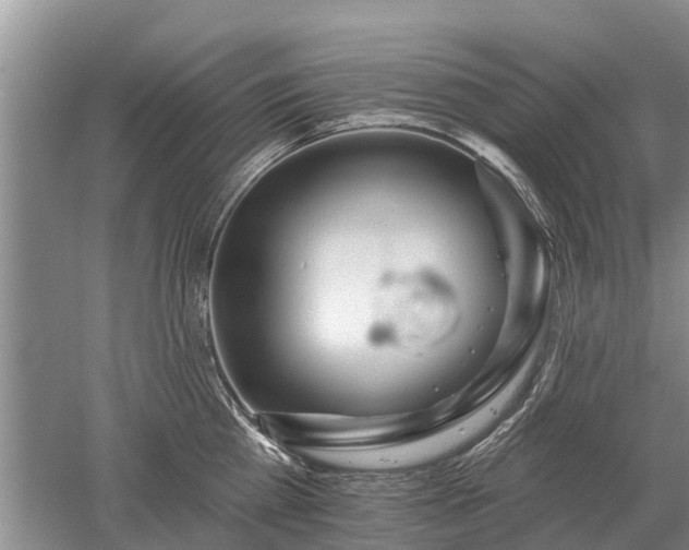 X0000052980809200507151826