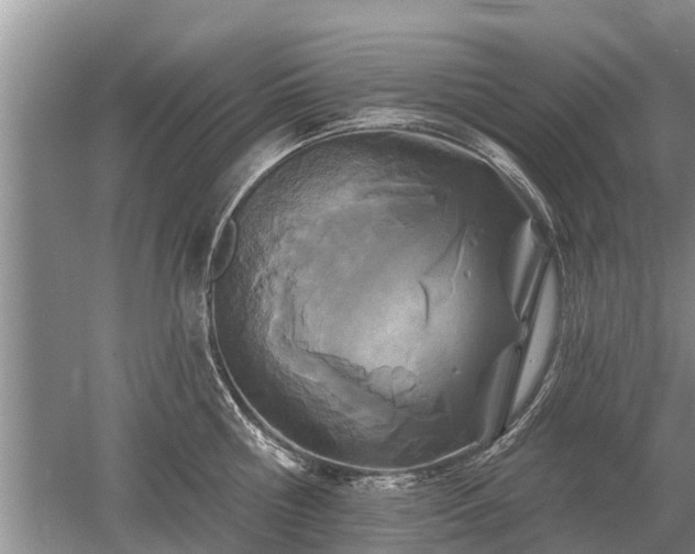 X0000052980810200507151826