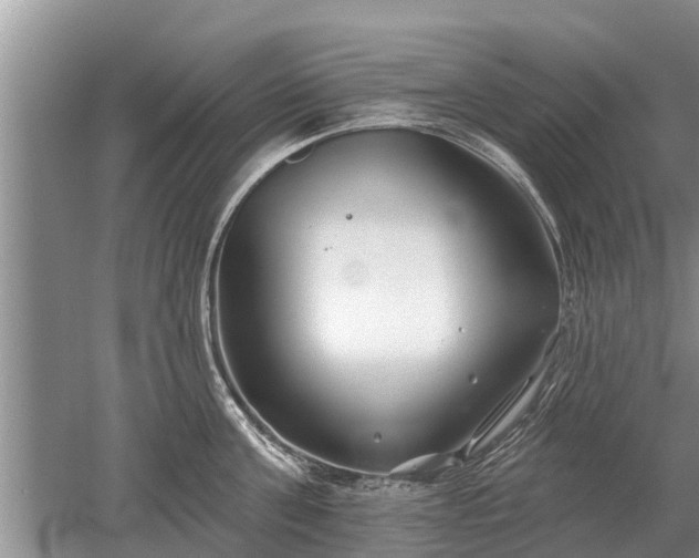 X0000052980811200507151826