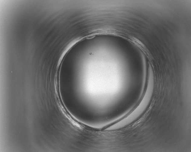 X0000052980812200507151826