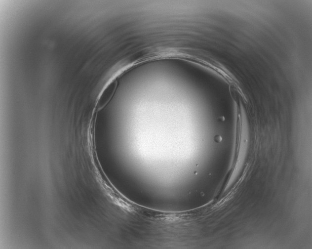 X0000052980814200507151826