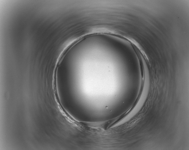 X0000052980815200507151826