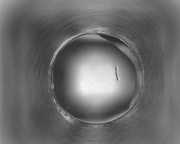 X0000052980816200507151826