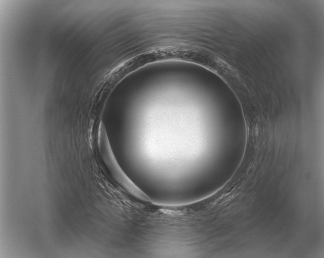 X0000052980822200507151826