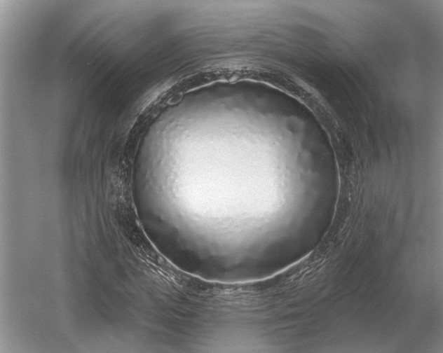 X0000052980823200507151826