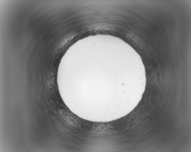 X0000052980824200507151826