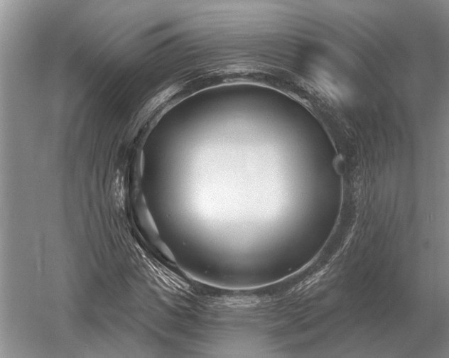 X0000052980825200507151826