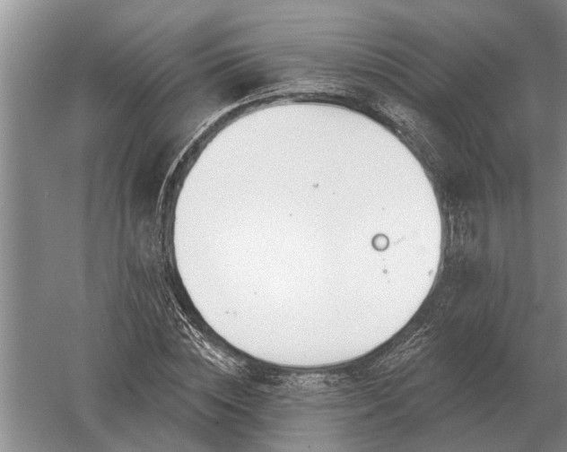 X0000052980828200507151826