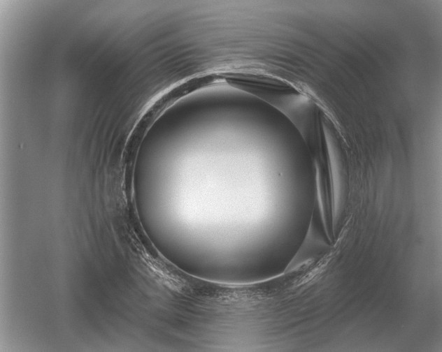 X0000052980830200507151826