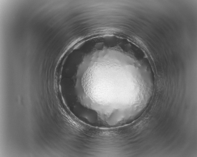 X0000052980835200507151826