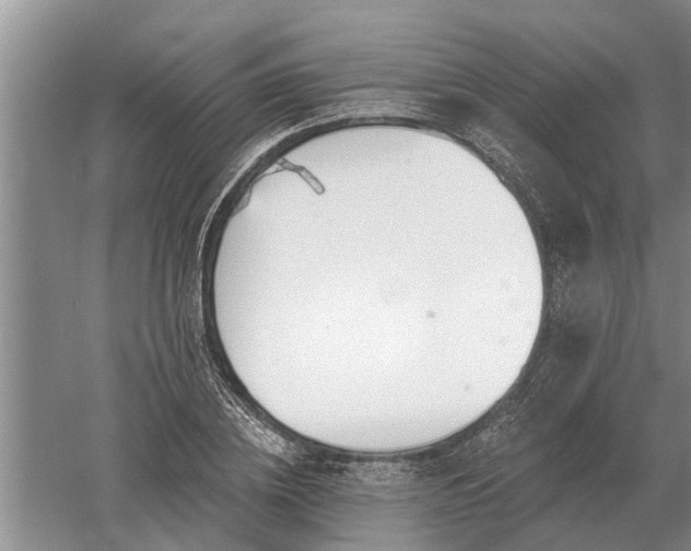 X0000052980836200507151826