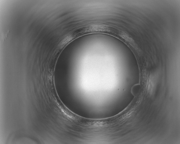 X0000052980841200507151826