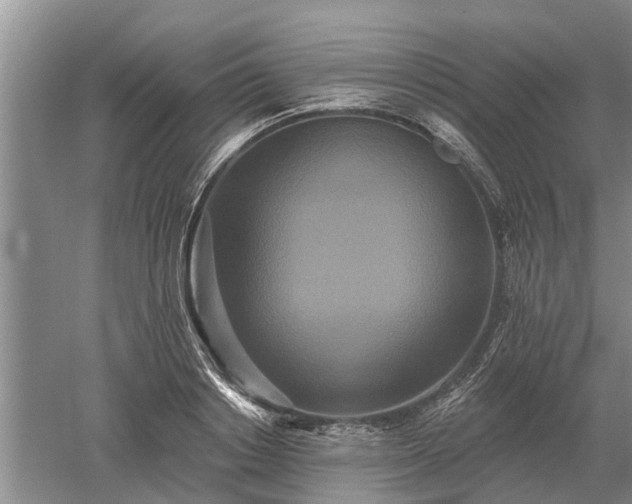 X0000052980842200507151826