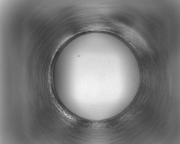 X0000052980848200507151826