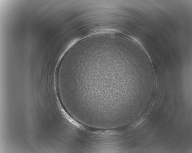 X0000052980851200507151826