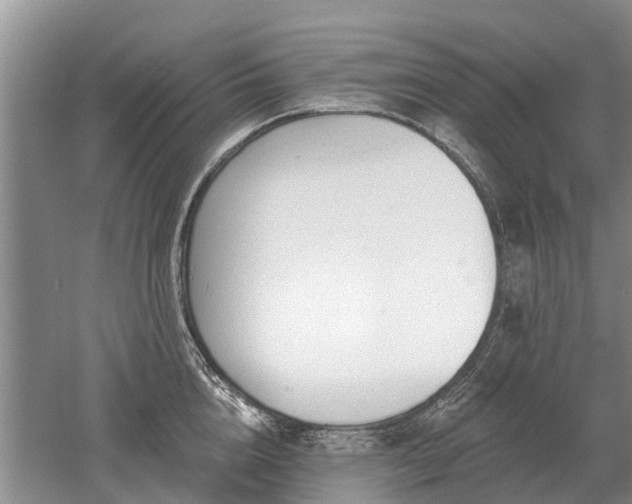 X0000052980856200507151826