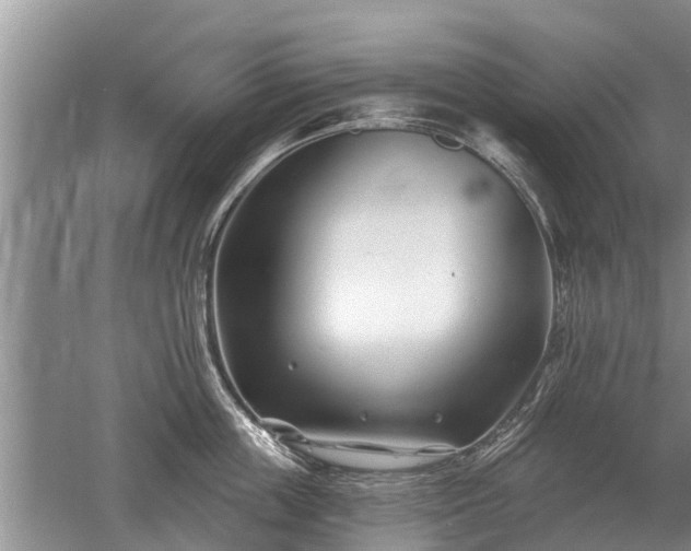 X0000052980859200507151826