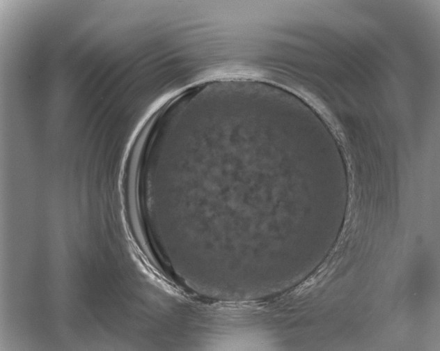 X0000052980864200507151826