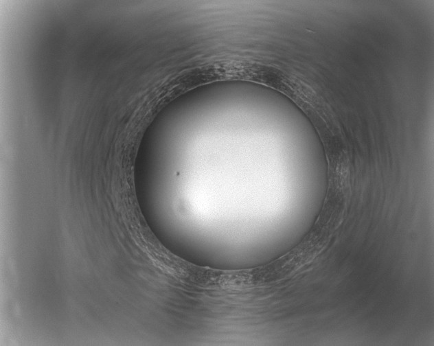 X0000052980865200507151825