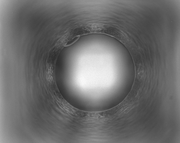 X0000052980866200507151825