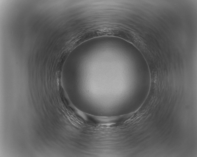 X0000052980868200507151825